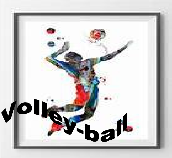 Volley Volleyball